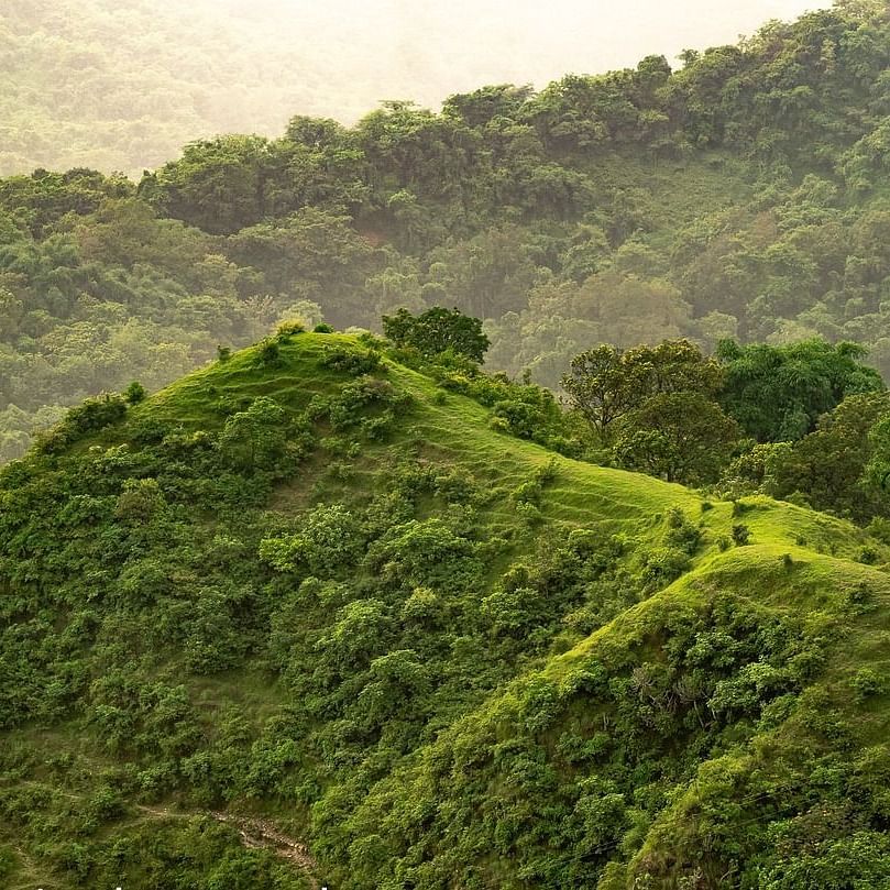 scenic views of mountains with lush greenery